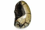 Septarian Dragon Egg Geode - Black Crystals #302859-1